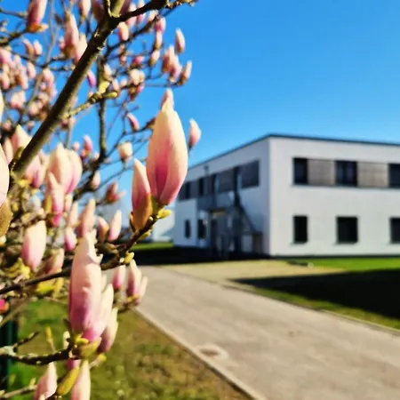 Seeliebe - Seeblick, Parkplatz, Teilweise Private Sauna, Wlan *