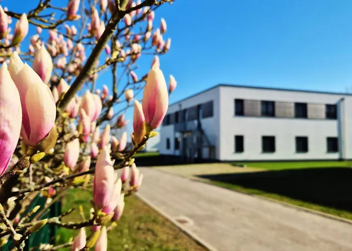 Seeliebe - Teilweise Mit Privater Sauna, Seeblick, Parkplatz, Wlan *